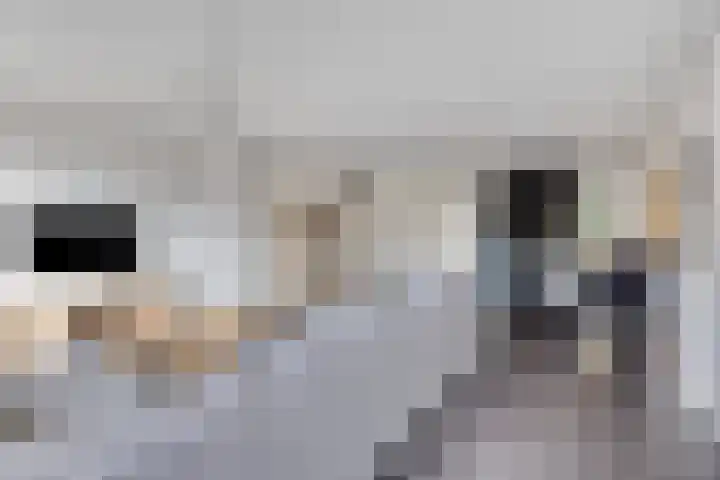 Hulst 4 Cuijk thumbnail 14