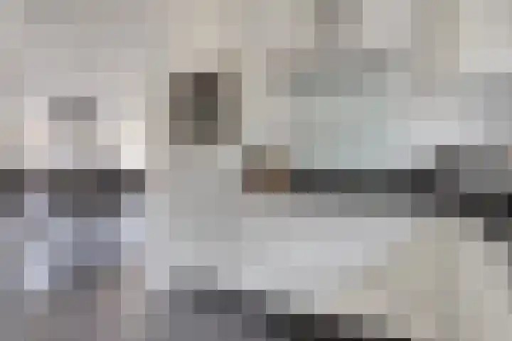 Hulst 4 Cuijk thumbnail 17