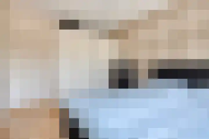 Hulst 4 Cuijk thumbnail 19