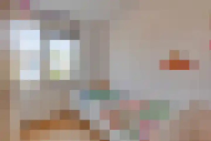Hulst 4 Cuijk thumbnail 21