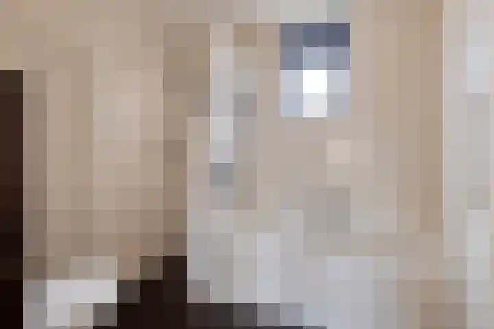 Hulst 4 Cuijk thumbnail 22