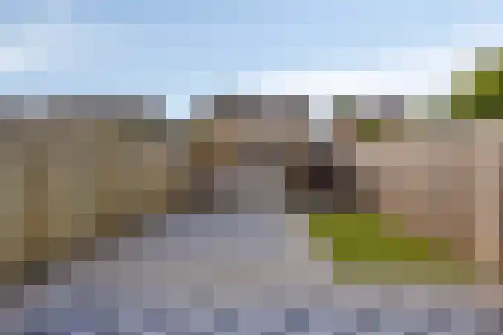 Hulst 4 Cuijk thumbnail 26