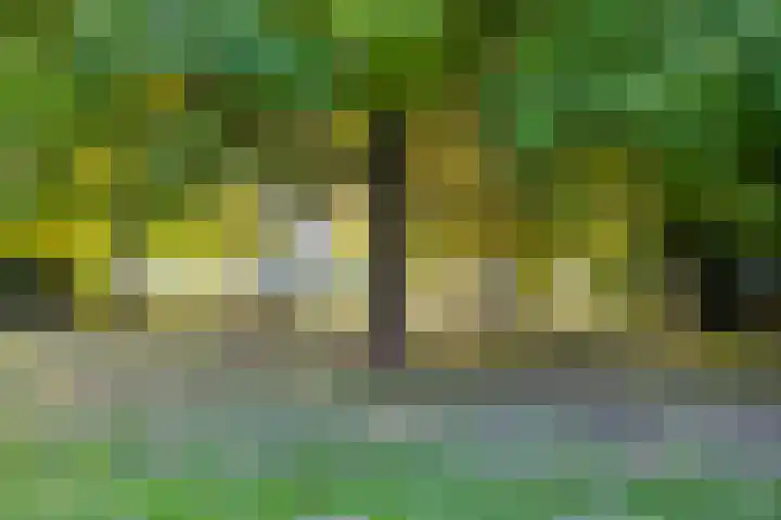 Hulst 4 Cuijk thumbnail 29