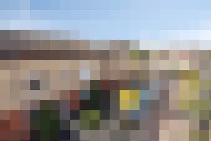 Hulst 4 Cuijk thumbnail 6