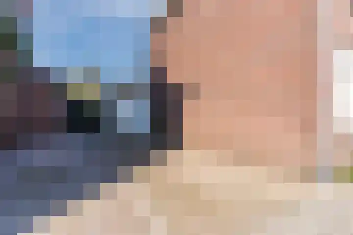 Hulst 55 Geldrop thumbnail 11