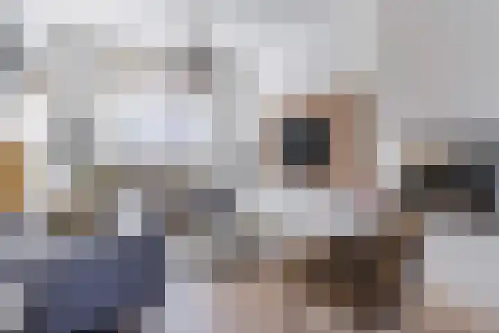 Hulst 55 Geldrop thumbnail 16