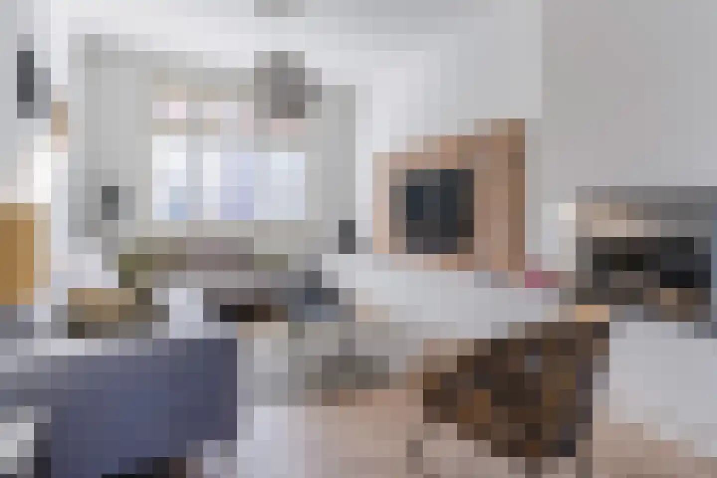 Hulst 55 Geldrop thumbnail 16