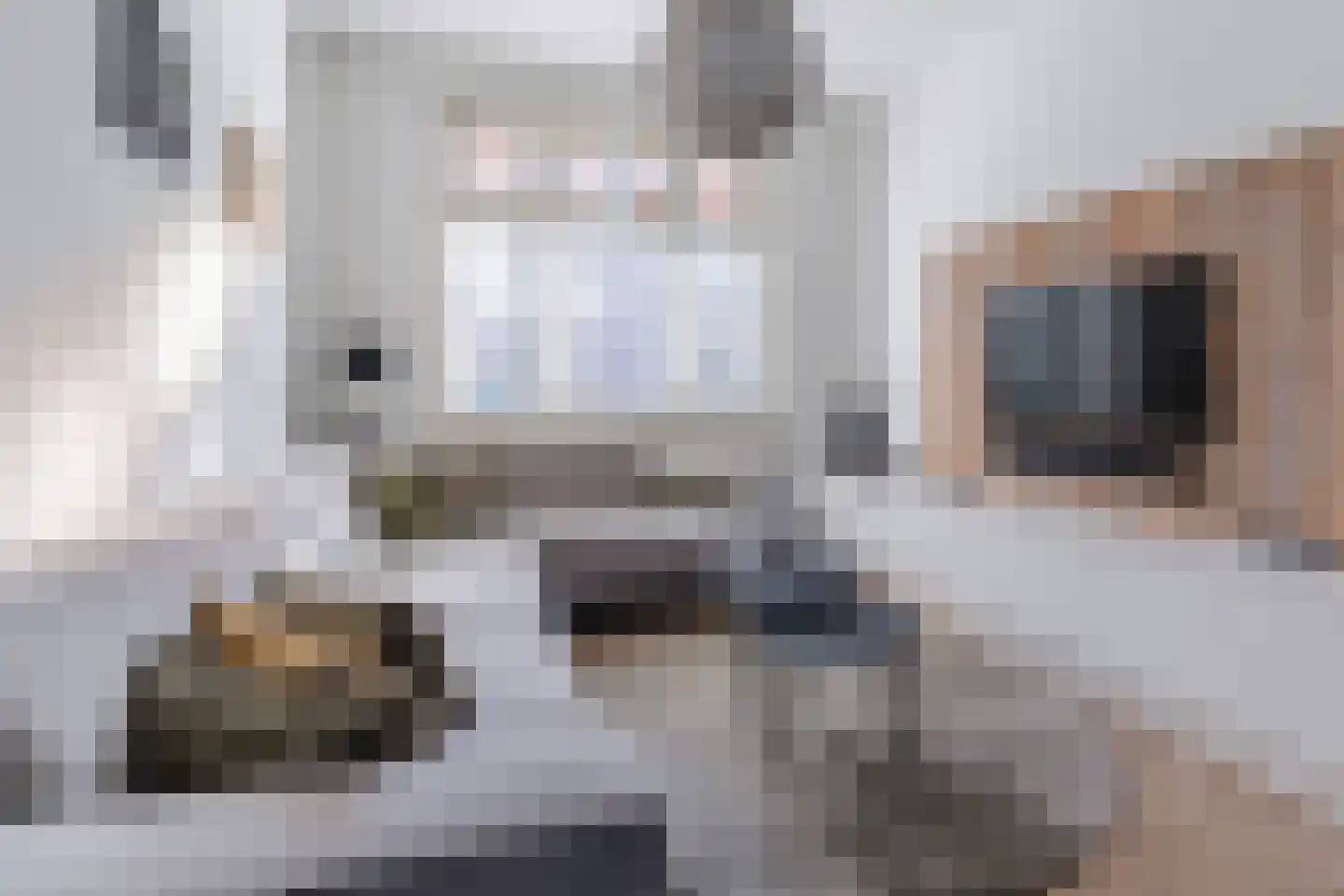 Hulst 55 Geldrop thumbnail 17