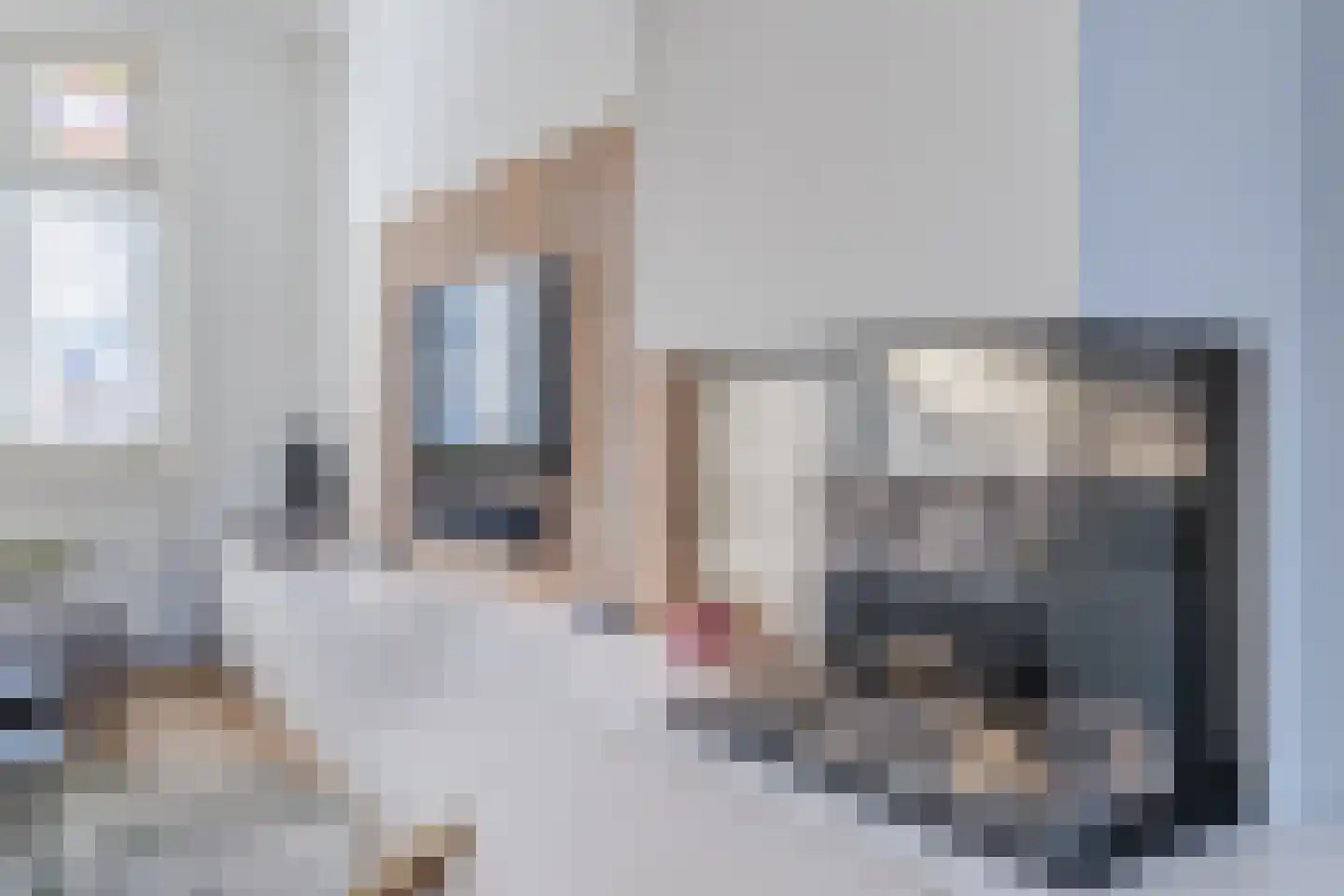 Hulst 55 Geldrop thumbnail 20