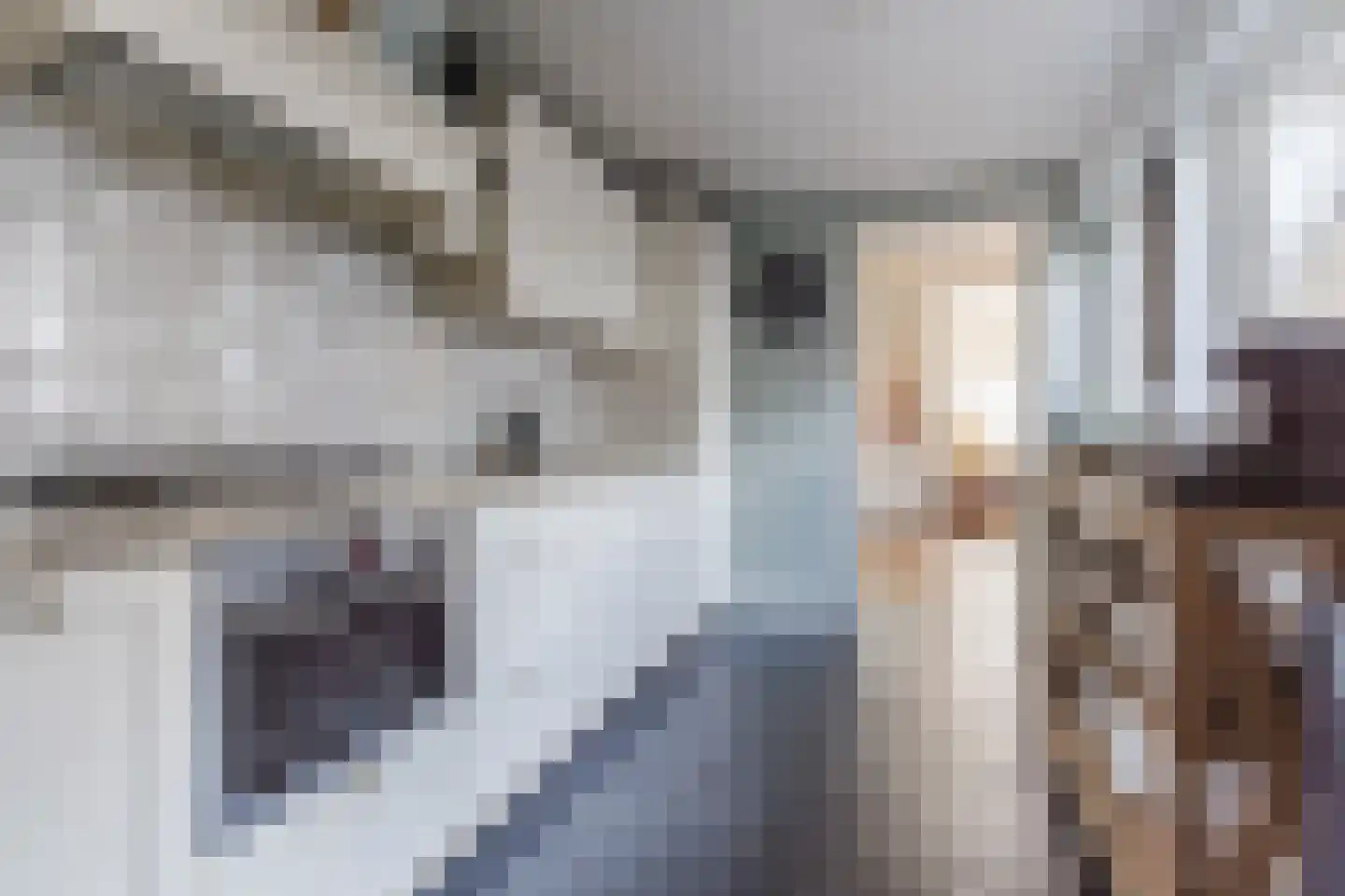 Hulst 55 Geldrop thumbnail 25
