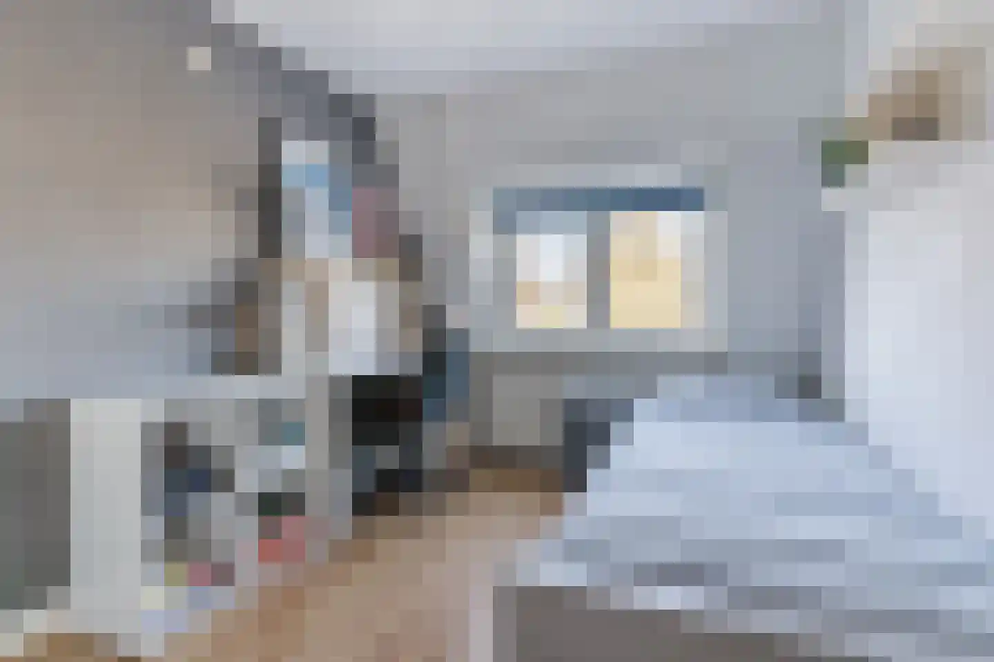 Hulst 55 Geldrop thumbnail 35