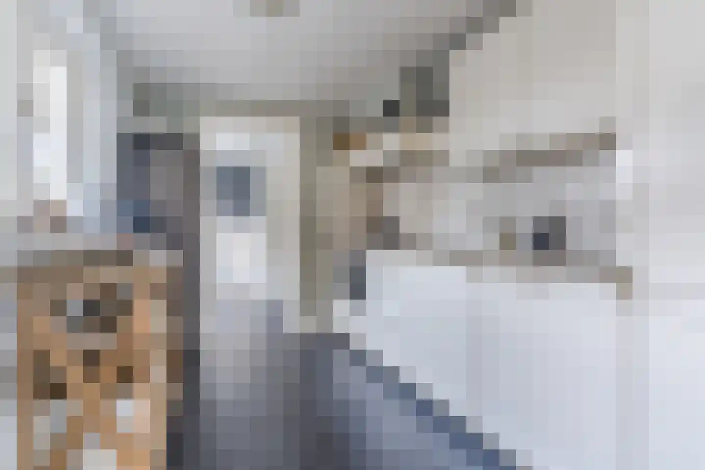 Hulst 55 Geldrop thumbnail 4
