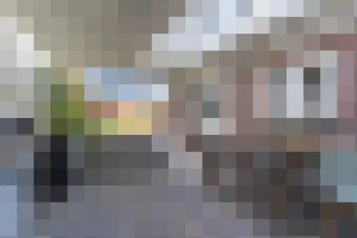 Hulst 55 Geldrop thumbnail 48