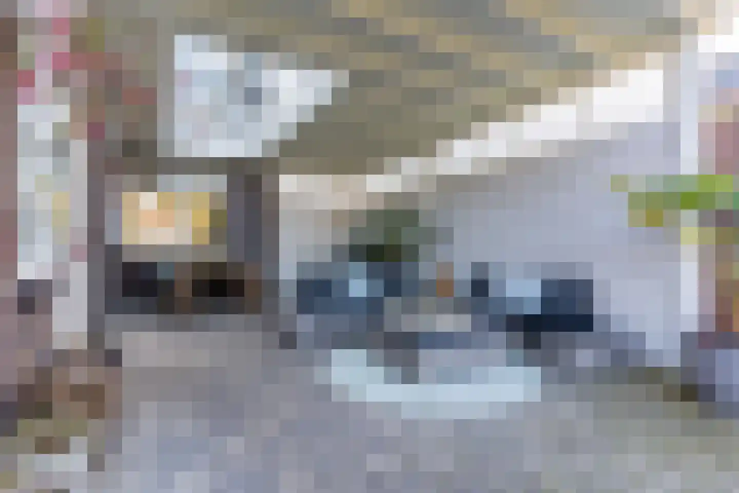 Hulst 55 Geldrop thumbnail 5