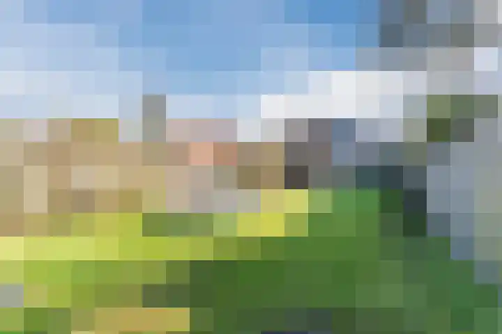 Hulst 55 Geldrop thumbnail 57