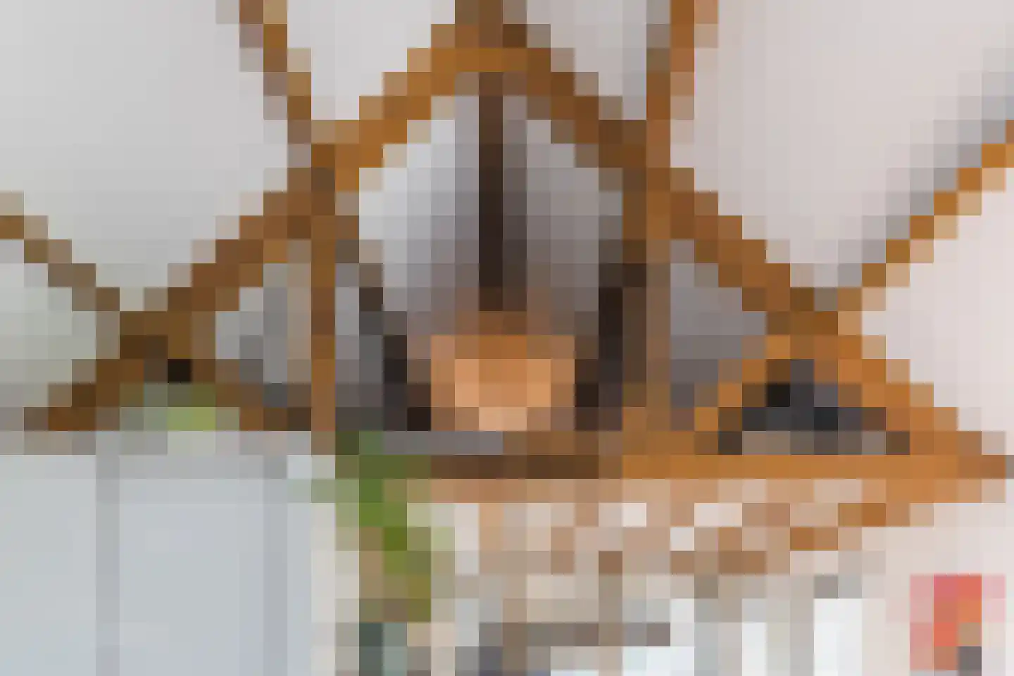 Hulst 55 Geldrop thumbnail 62