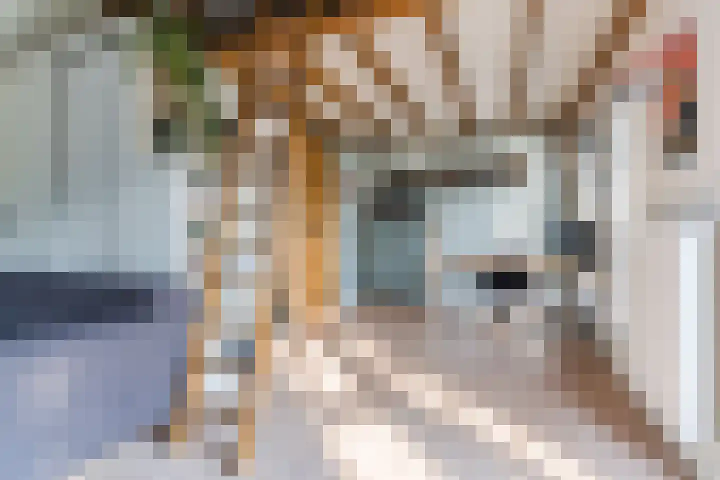 Hulst 55 Geldrop thumbnail 63