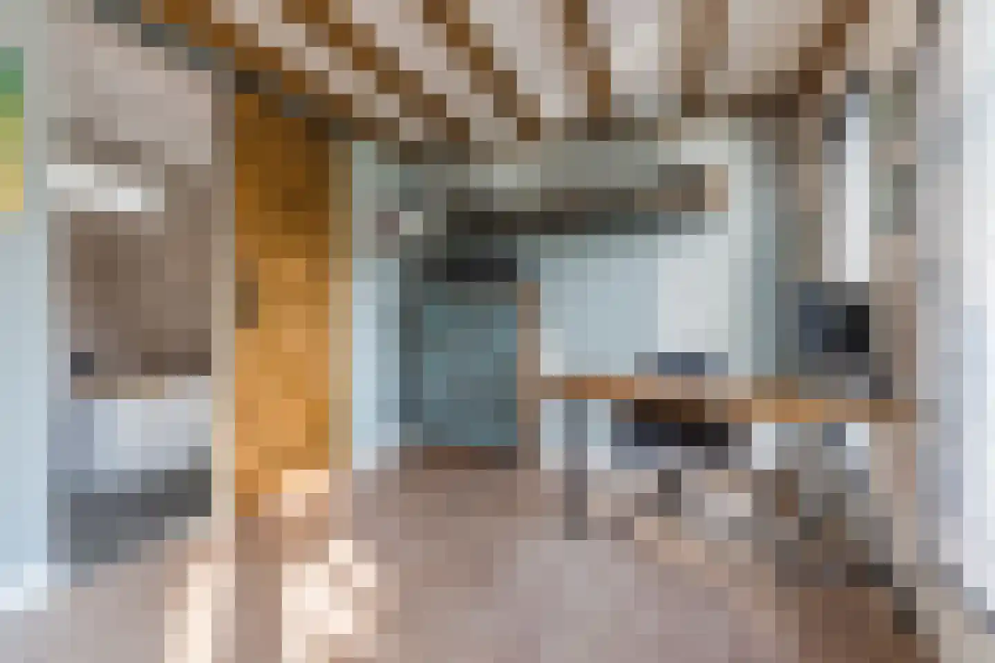 Hulst 55 Geldrop thumbnail 64