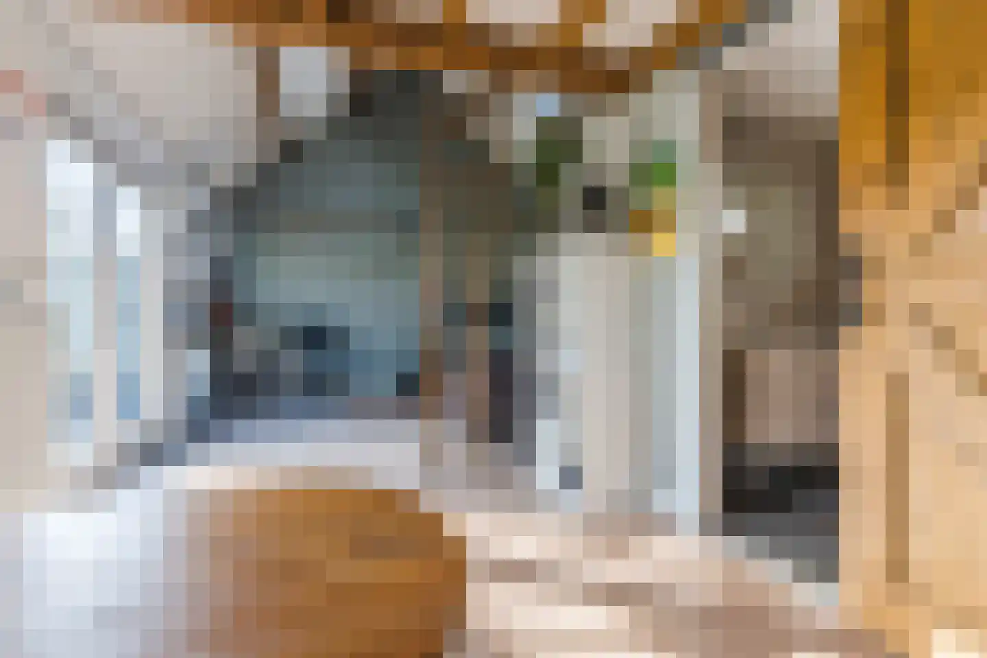 Hulst 55 Geldrop thumbnail 65