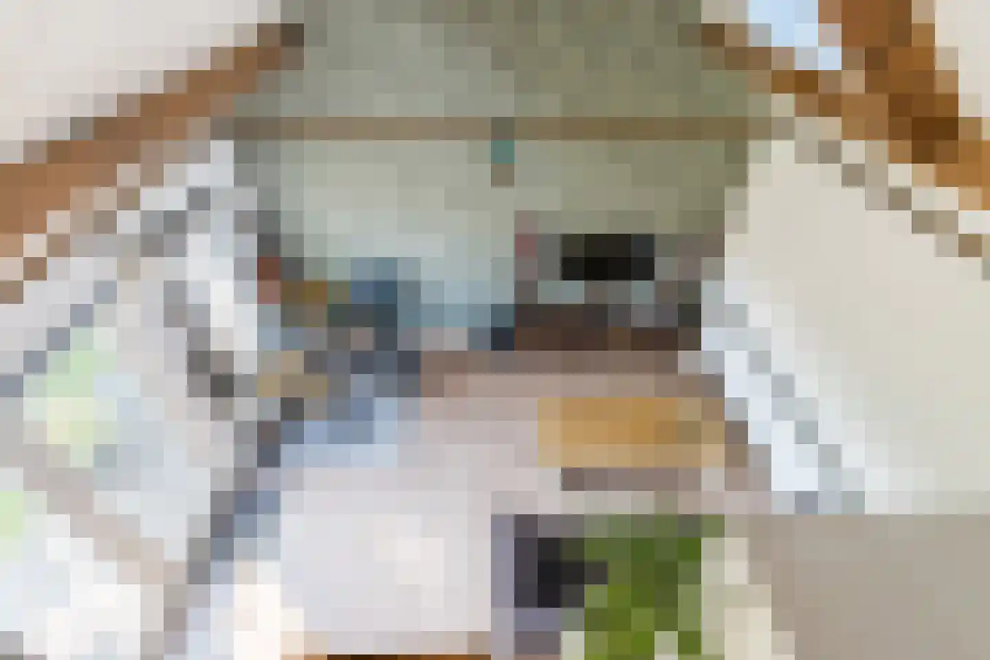 Hulst 55 Geldrop thumbnail 70