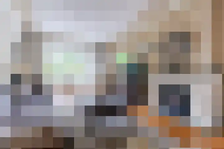 Hulst 70 Geldrop thumbnail 11