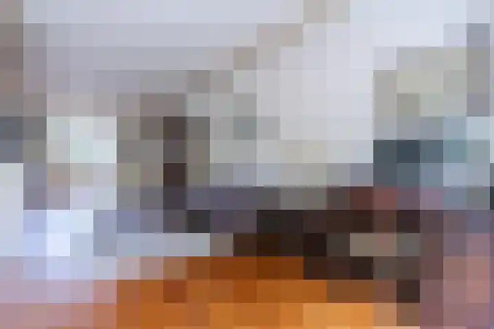 Hulst 70 Geldrop thumbnail 12