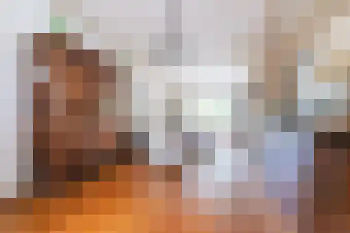 Hulst 70 Geldrop thumbnail 14