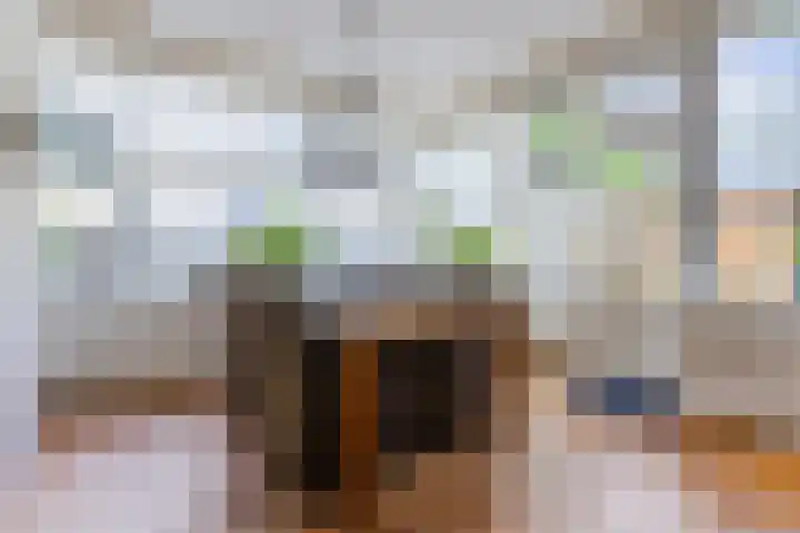 Hulst 70 Geldrop thumbnail 15