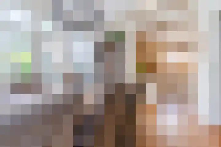 Hulst 70 Geldrop thumbnail 16