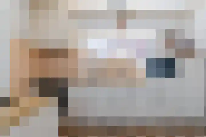 Hulst 70 Geldrop thumbnail 17