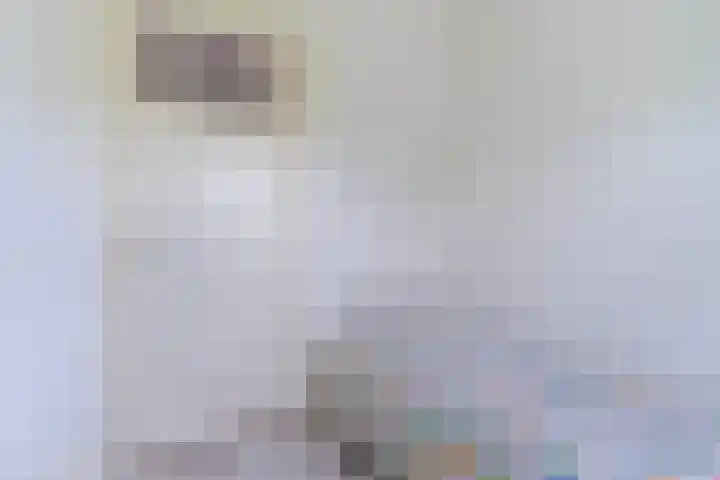 Hulst 70 Geldrop thumbnail 31