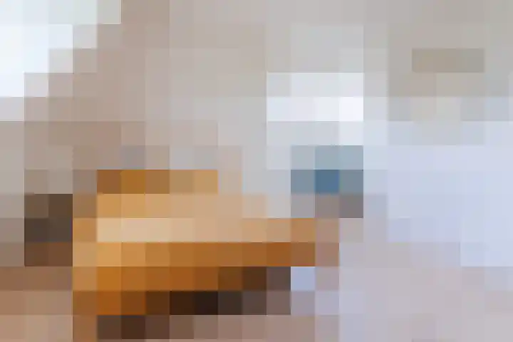 Hulst 70 Geldrop thumbnail 36