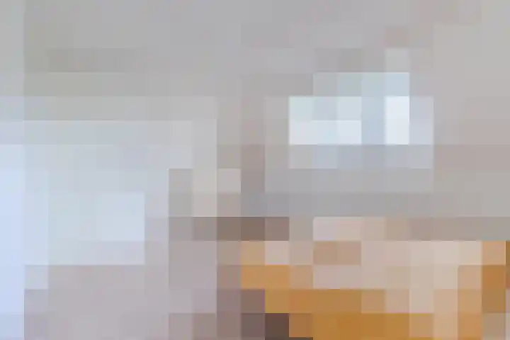 Hulst 70 Geldrop thumbnail 37