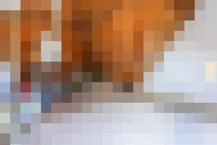 Hulst 70 Geldrop thumbnail 39