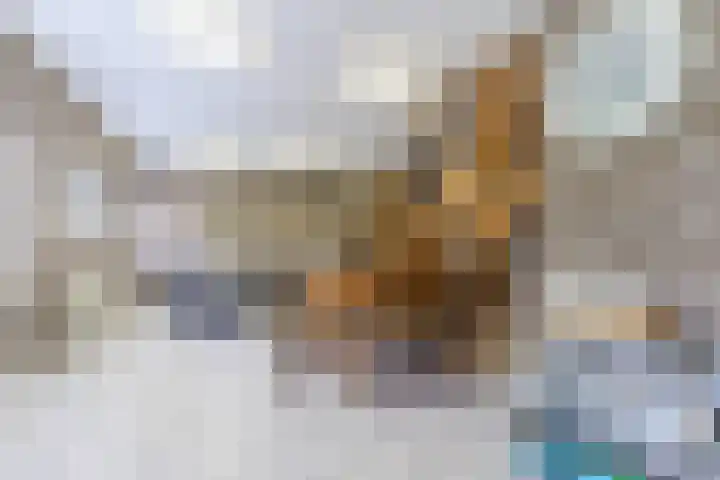 Hulst 70 Geldrop thumbnail 43