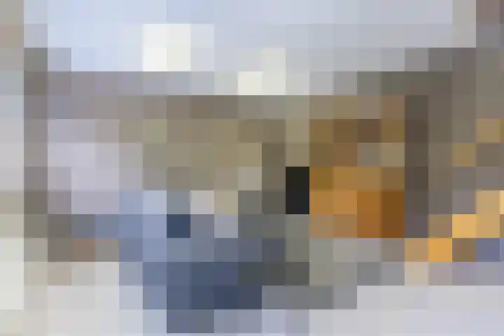 Hulst 70 Geldrop thumbnail 45