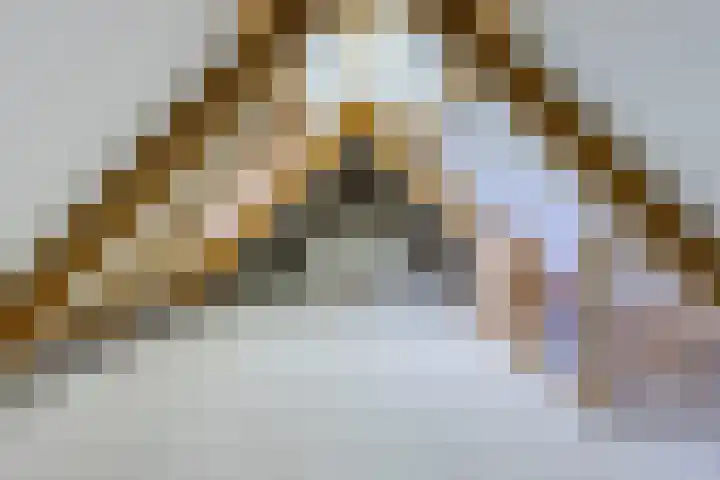 Hulst 70 Geldrop thumbnail 50