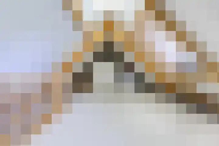 Hulst 70 Geldrop thumbnail 51