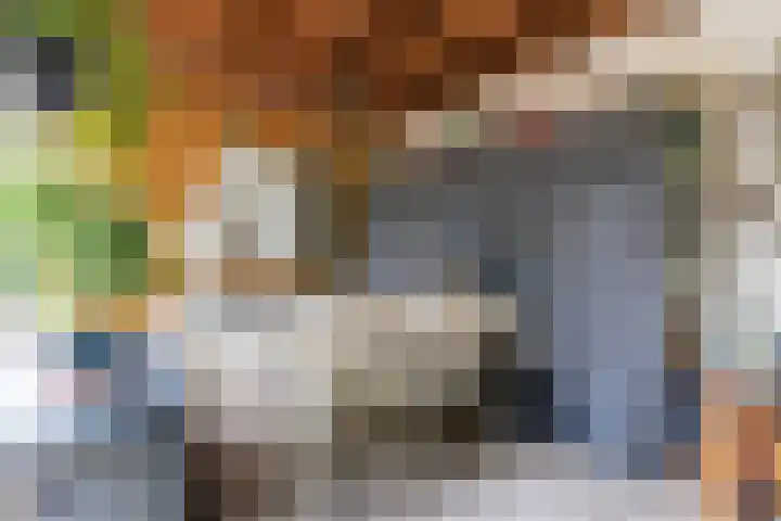 Hulst 70 Geldrop thumbnail 55