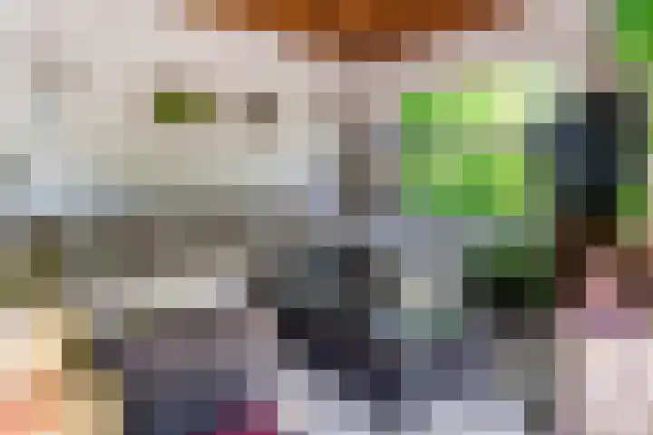 Hulst 70 Geldrop thumbnail 56