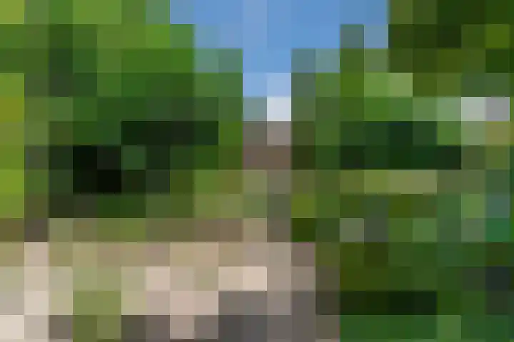 Hulst 70 Geldrop thumbnail 58