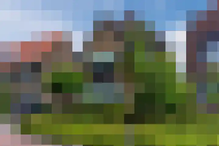 Hulst 70 Geldrop thumbnail 64