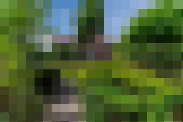 Hulst 70 Geldrop thumbnail 65