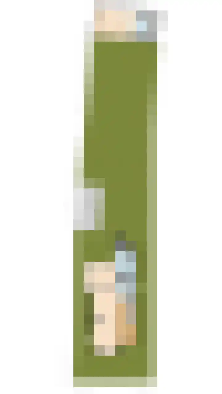 Hulst 70 Geldrop thumbnail 76