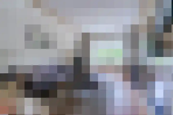 Hulst 70 Geldrop thumbnail 9