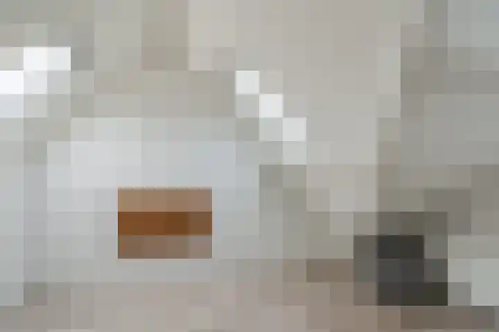 Hulst 93 Geldrop thumbnail 26