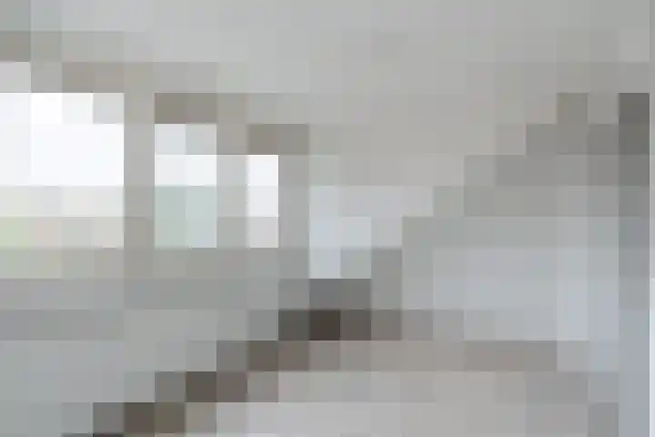 Hulst 93 Geldrop thumbnail 29