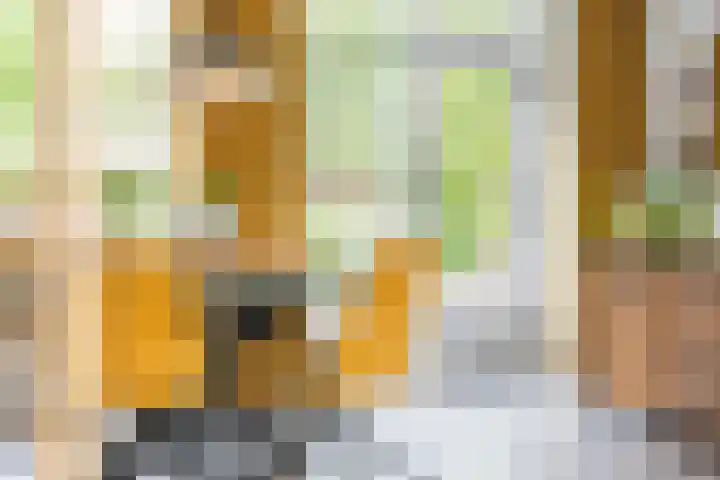 Hulstakker 15 Baarle-Nassau thumbnail 12
