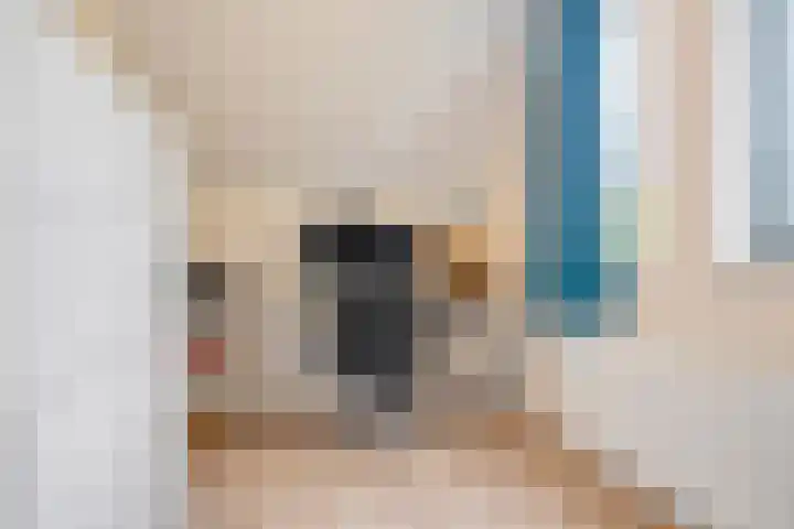 Hulstakker 15 Baarle-Nassau thumbnail 25