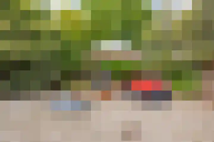 Hulstakker 15 Baarle-Nassau thumbnail 33